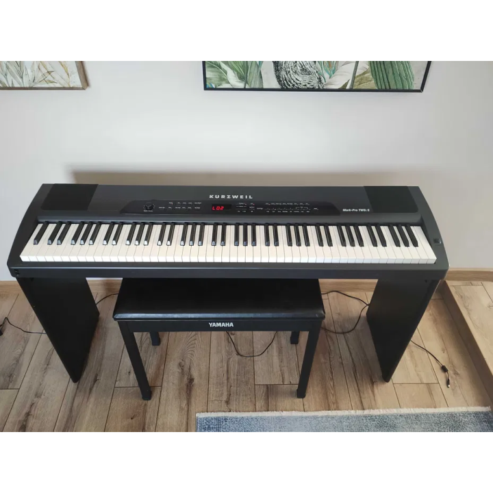 Kurzweil Mark-Pro TWO i S